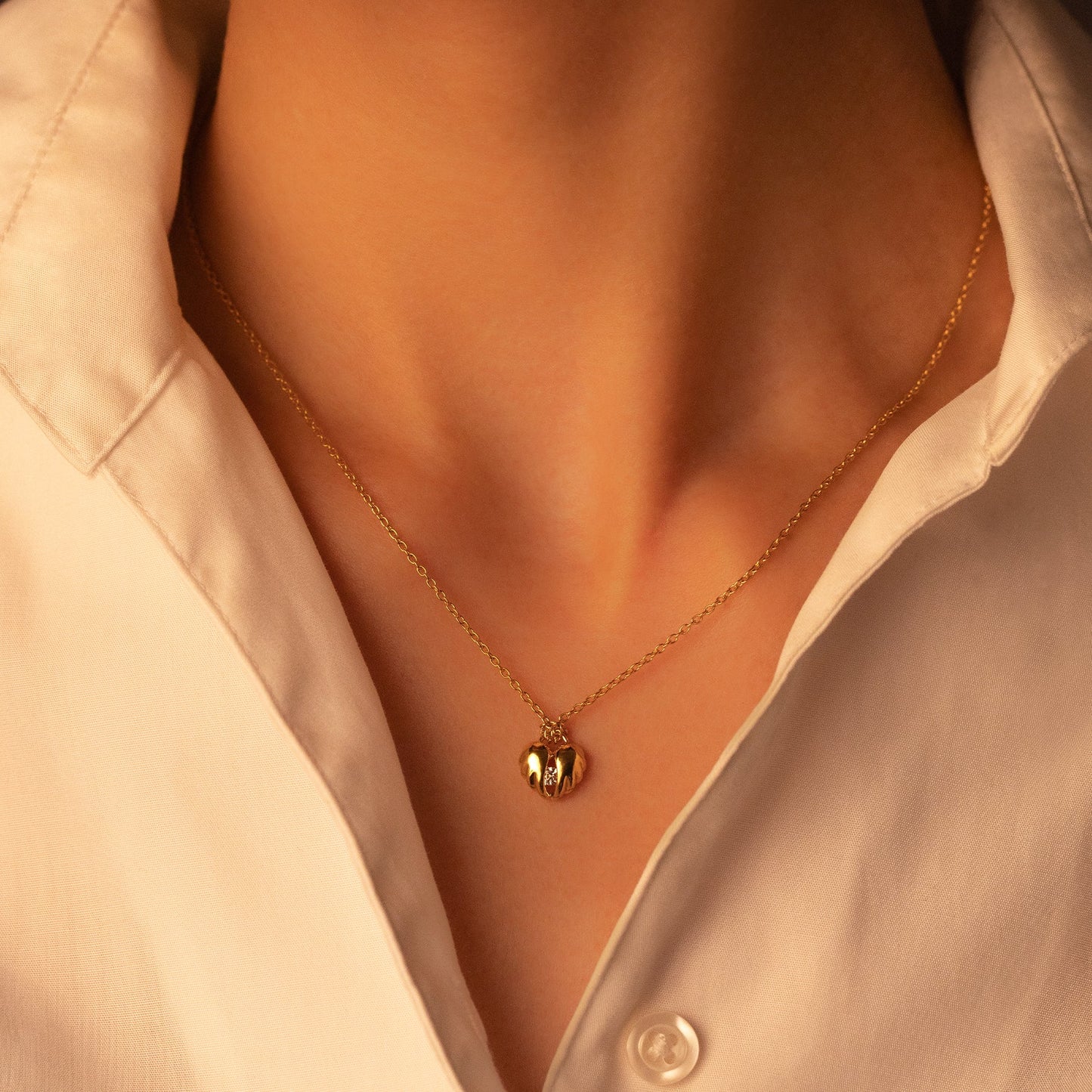 Pendants of Survey Corps:SILVER